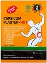 HOT PATCH 1.PLASTER