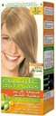 GARNIER NETURELS ASHY LIGHT BLONDE(8.1)20%OFF