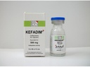 KEFADIM 500 MG VIAL