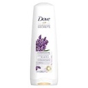 DOVE COND LAVENDER THICKENING RITUAL 350ML