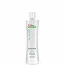 CHI ENVIRO SMOOTHING SHAMPOO 355 ML