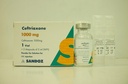 [77303] CEFTRIAXONE 1GM VIAL IV NEW