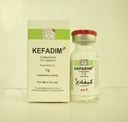 [29079] KEFADIM 1 GM VIAL