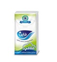 [17133] FINE POCKET TISSUES 10 TISSUES